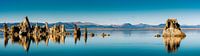 Panorama reflectie van kalksteen tufsteen formaties in Mono Lake in Californië USA van Dieter Walther thumbnail