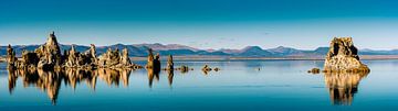 Panorama reflectie van kalksteen tufsteen formaties in Mono Lake in Californië USA van Dieter Walther