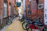 Fietsen in de Entensgang in Groningen van Evert Jan Luchies thumbnail