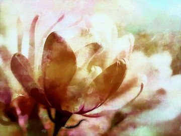 Fantasiebloem in de ochtendzon van FRESH Fine Art