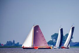 Skûtsje sailing races in Friesland. by Brian Morgan