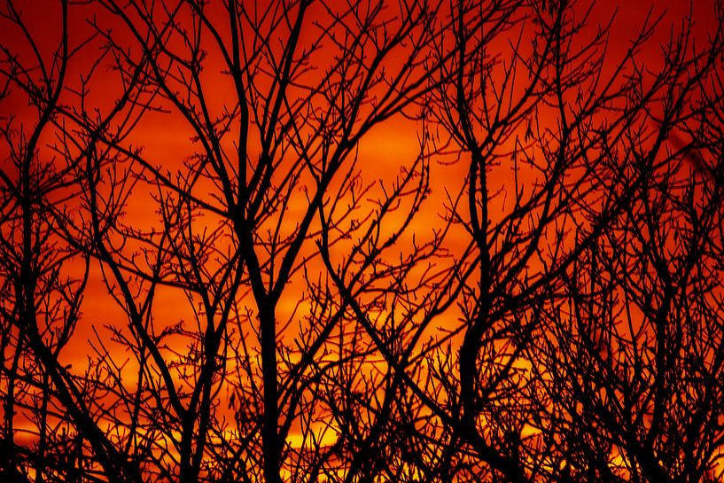 Glow of fire von FellundFarbe