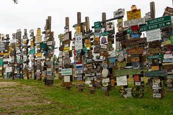 License plates from around the world