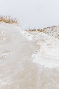 Met sneeuw bedekte duinen | Winterlandschap Nederland Den Haag