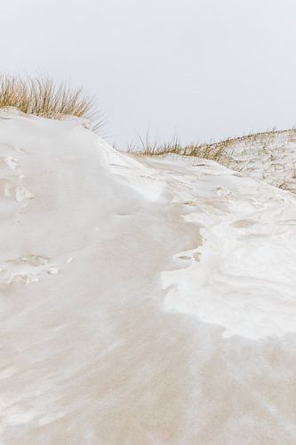 Met sneeuw bedekte duinen | Winterlandschap Nederland Den Haag