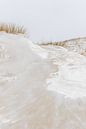 Met sneeuw bedekte duinen | Winterlandschap Nederland Den Haag van Dylan gaat naar buiten thumbnail