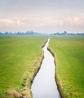 Gescheurd weiland