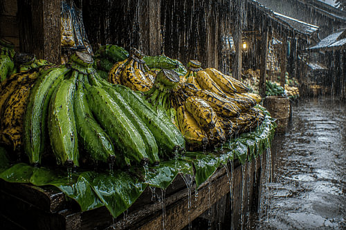 Regen auf Bananen auf einem traditionellen Markt I Indonesien I Regen-Sammlung
