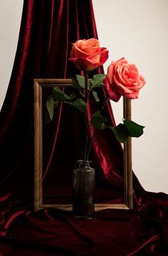 Lijst met twee rozen van Ninette