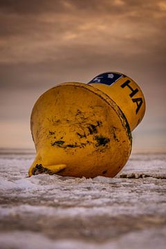 surf buoy on Harlingen winter beach by Jan Peter Nagel