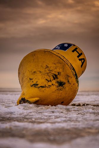 surf buoy on Harlingen winter beach