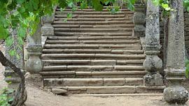 Quinta do Mateus von Frans Collette