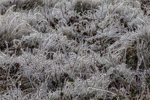 Bevroren gras bij een waterval in IJsland