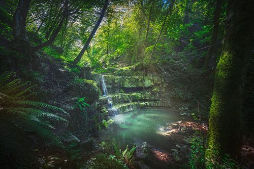 Stream waterfall inside a forest. Chianni, Tuscany