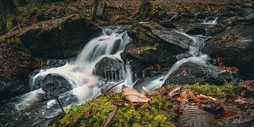 Steinbachklamm Nibelungengau Marbach Maria Taferl Oostenrijk van Robert Knapp Fotografie