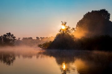 Zonsopkomst in de Biesbosch in Nederland