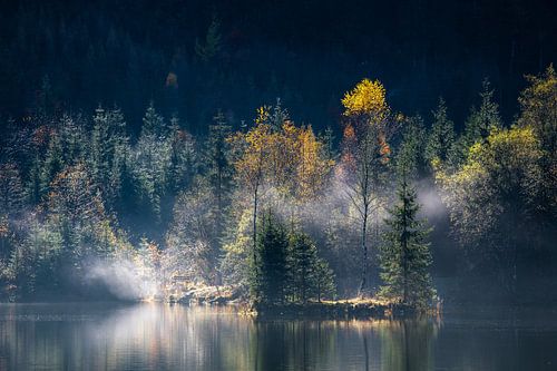 Kleine Insel mit Bäumen in einem See vor einer bewaldeten Bergwand