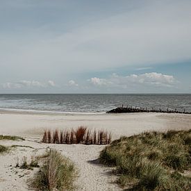 Blick auf Texel an der Nordsee von Ditta van Gent
