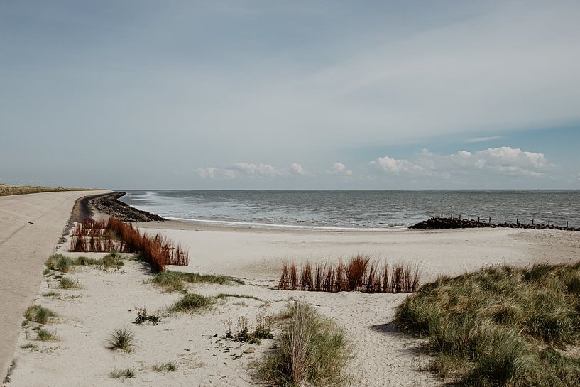 View of Texel on the North Sea by Ditta van Gent