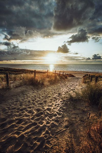 Beach by Dirk van Egmond