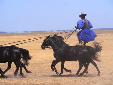 Paardenshow op de Poesta in Hongarije van Judith van Wijk