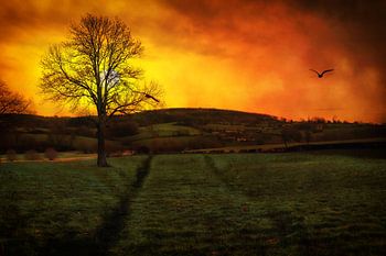 Epen (Zuid-Limburg) bij zonsondergang