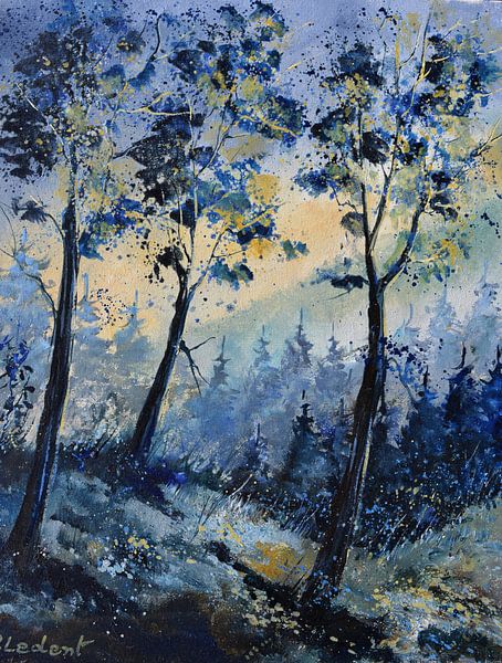 Licht in het hout van pol ledent