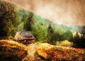 Poland Hala Kondratowa #Tatras