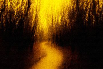 Gouden licht,  Hollandse Duinen, ICM van Yanuschka Fotografie | Noordwijk