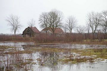 Farmhouse in the Groningen countryside