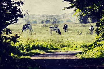 Uitzicht op ons Brabantse land met koeien (schilderij)