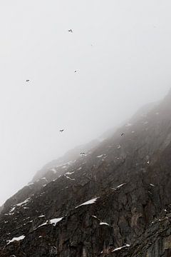 Uitvliegen in een sneeuwstorm