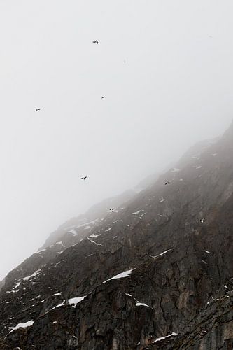 Uitvliegen in een sneeuwstorm