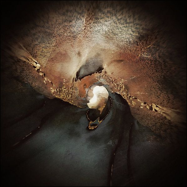 Brown, black and gold by Carla van Zomeren