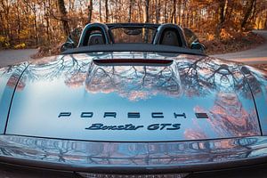 Logo Porsche Boxster GTS Typ 981