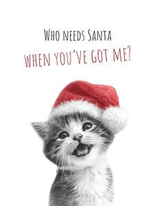 Cool Cat - Christmas