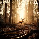 The panting deer escape the hunt ? by Marion Kraus thumbnail