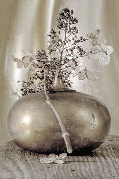 Hydrangea Neutral Silver. Modern Still Life by Alie Ekkelenkamp