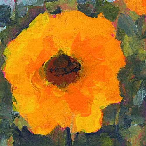 Happy flowers eins