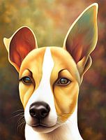 Jules (Mein Jack Russell)