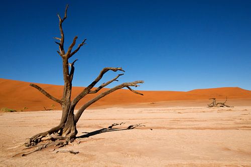 Dode Vormen - De Marionet