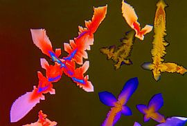 Dichlorobenzen by André Wieringa