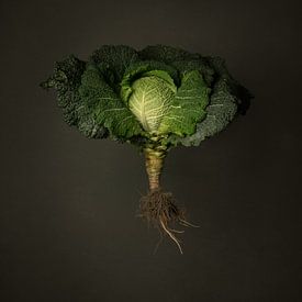 Seasonal vegetables - Savoy cabbage from outdoors by Mariska Vereijken