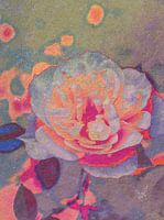 Rose satin