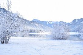 Sneeuw in Salzburg van Andrea Fuchs