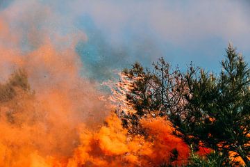 Fire on Capo Berta by Eloise Mavian