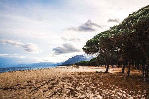 Strand in Sardinië | Italië