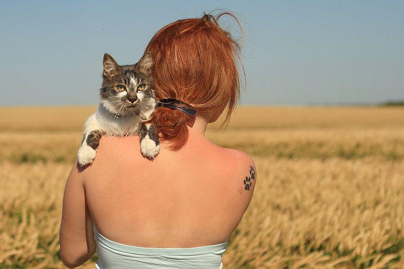 My cat par Aristide Koudaya
