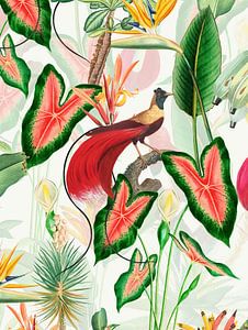 Paradijsvogel in het regenwoud van Floral Abstractions