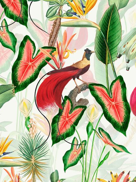 Paradies Vogel im Regenwald von Floral Abstractions